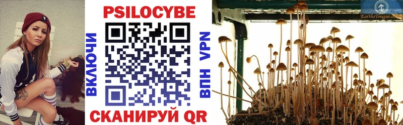 дарнет шоп  Красавино  Галлюциногенные грибы MAGIC MUSHROOMS 